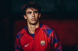 鐵血士官長巴特勒 逃不出萊里的手掌心